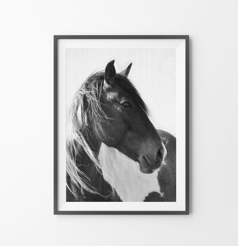 Horse Print Photography Black and White Wall Art Digital Etsy
