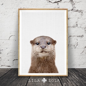 Otter Print, minimalistisches Farbe Foto, druckbares Poster, Digital Download, Meerestier