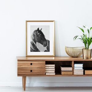 Horse Print, Photography Black and White Wall Art, Digital Download, Printable Horse Art, Black and White Horse Photo, Large Wall Art Print image 3