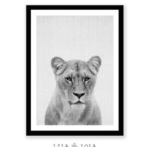 Lioness Print, Lion Wall Art, Black and White, Safari Nursery Poster, African Animal, Large Instant Digital Download, Minimalist, Kids Room image 2