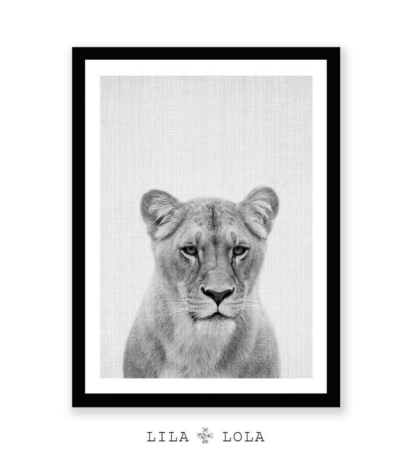 Lioness Print, Lion Wall Art, Black and White, Safari Nursery Poster, African Animal, Large Instant Digital Download, Minimalist, Kids Room image 2