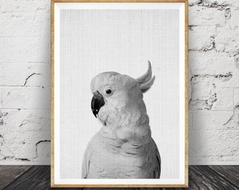 Kakadu Print: Australischer Vogel Foto, schwarz weiss (Digitaler Download)
