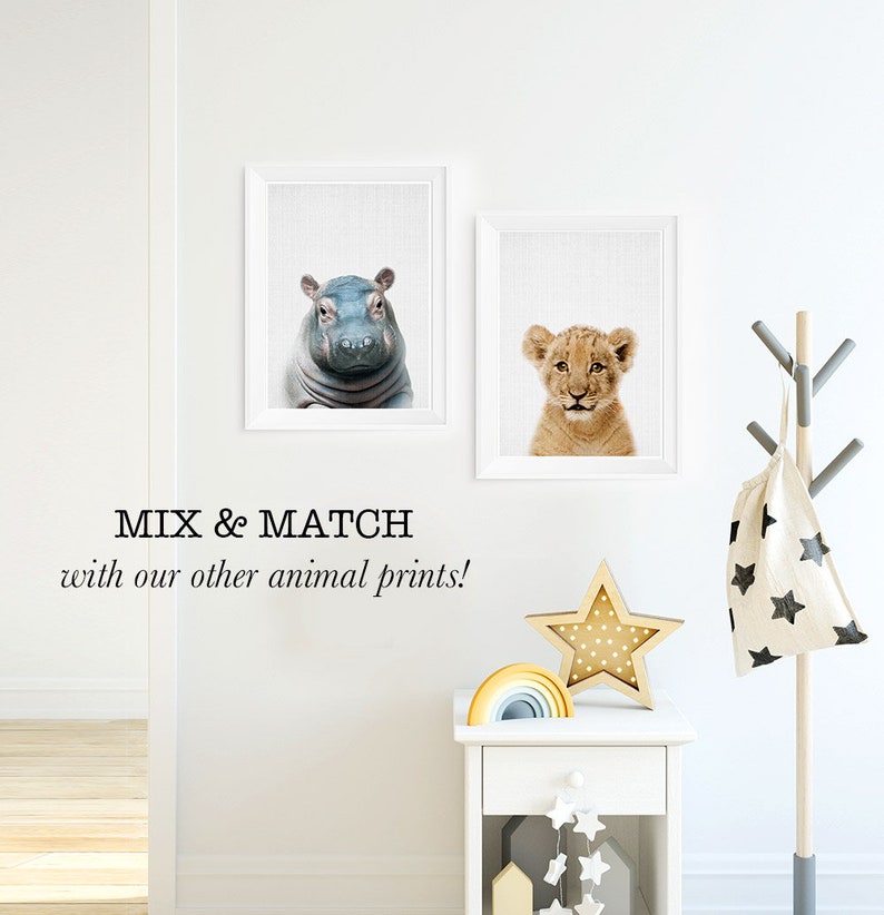 Lion Cub Print Safari Nursery Decor Baby Animal Kids Wall Etsy