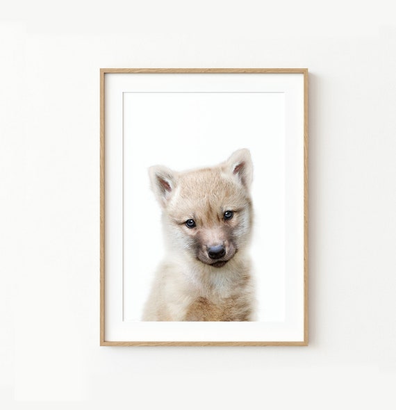 Baby Wolf Pup Wall Art Print ~ Nursery Woodland Animal Decor ~ Printable Digital Download ~ White Background