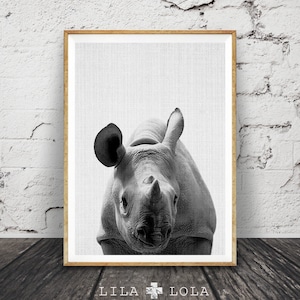 May include: Black and white photograph of a rhinoceros looking directly at the camera. The rhinoceros is in focus, while the background is blurred.