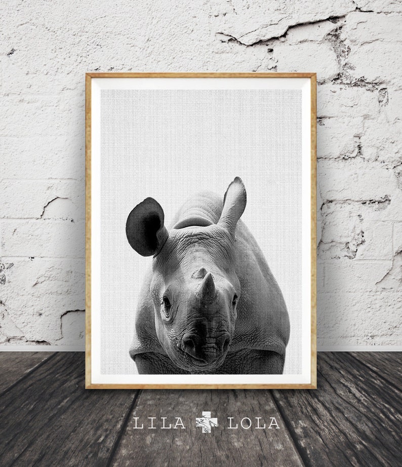 Rhino Wall Art Print Safari Nursery Decor African Animal Etsy