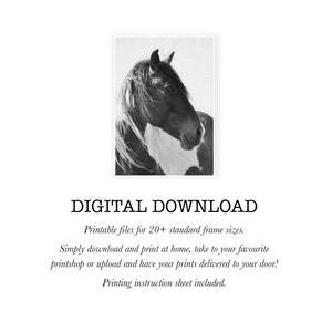 Horse Print, Photography Black and White Wall Art, Digital Download, Printable Horse Art, Black and White Horse Photo, Large Wall Art Print image 7