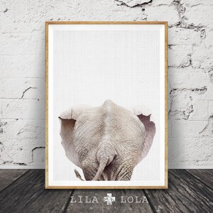 Elephant Tail Print Wall Art, Rear View, Baby Animal, Colour Photo, African Safari Decor, Nursery Printable Poster, Digital Download