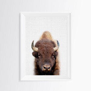 Buffalo Print, Bison Photo, Printable Poster, Instant Digital Download, Boys Room Decor, Nursery Animal, Modern Minimalist, Photography image 9