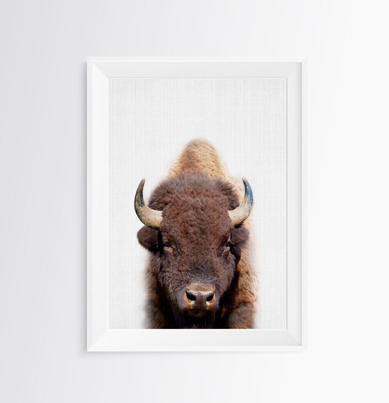 Buffalo Print, Bison Photo, Printable Poster, Instant Digital Download, Boys Room Decor, Nursery Animal, Modern Minimalist, Photography image 9