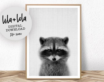 Raccoon Print, Nursery Wall Art, Baby Animal Prints, Woodland Nursery Printable, Digital Download, Black and White, Nursery Decor, Kids Room