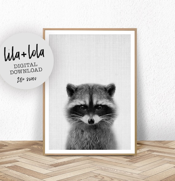 Baby Raccoon Print - Digital Download