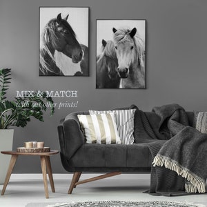 Horse Print, Photography Black and White Wall Art, Digital Download, Printable Horse Art, Black and White Horse Photo, Large Wall Art Print image 4