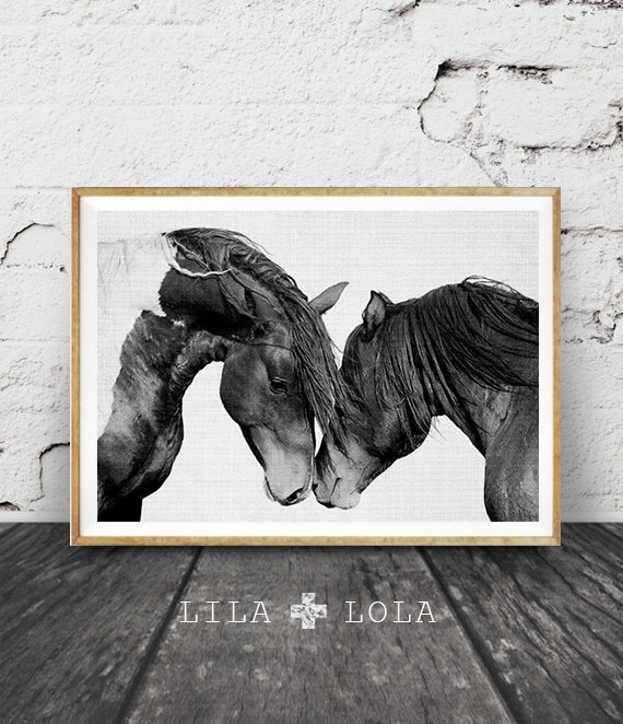 Horse Print, Black and White Photography, Horse Print Wall Art, Wild Horse Photo, Wilderness Print, Equestrian, Printable Art, Two Horses