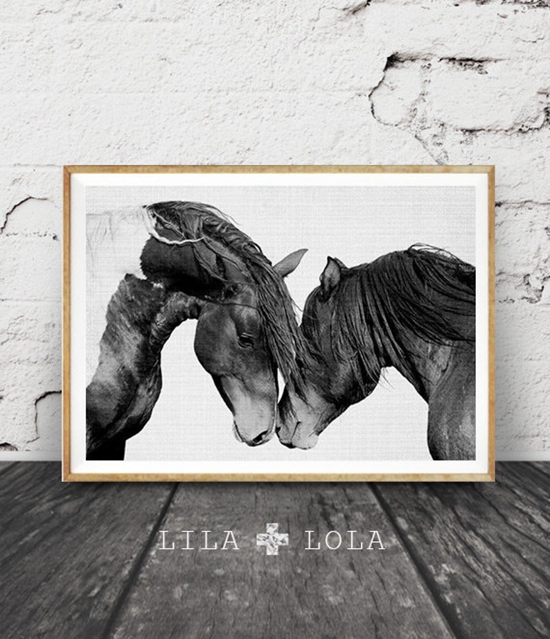 Horse Print, Black and White Photography, Horse Print Wall Art, Wild Horse Photo, Wilderness Print, Equestrian, Printable Art, Two Horses image 1