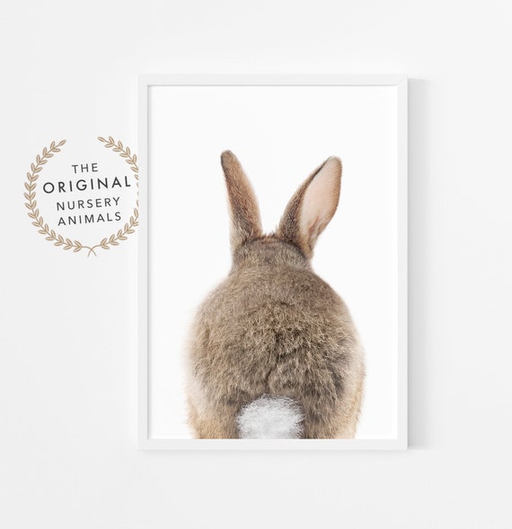 Bunny Rabbit Tail Print ~ Nursery Wall Art Decor ~ Instant Printable Digital Downloadable ~ Woodland Baby Animal ~ White Background