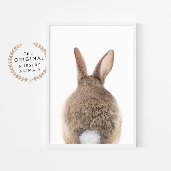 Bunny Rabbit Tail Print ~ Nursery Wall Art Decor ~ Instant Printable Digital Downloadable ~ Woodland Baby Animal ~ White Background