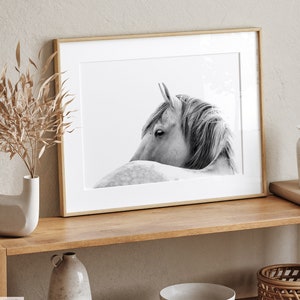 Horse Photography Wall Art Print Black and White Horse Poster Printable Digital Download image 4