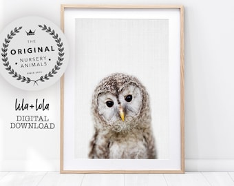 Owl Print, Nursery Wall Art Decor, Woodland Animals, Baby Shower Gift, Girl, Boy, Large Printable Digital Download, Baby Animal Prints