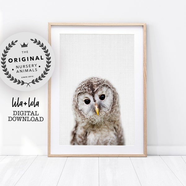 Owl Print, Nursery Wall Art Decor, Woodland Animals, Baby Shower Gift, Girl, Boy, Large Printable Digital Download, Baby Animal Prints