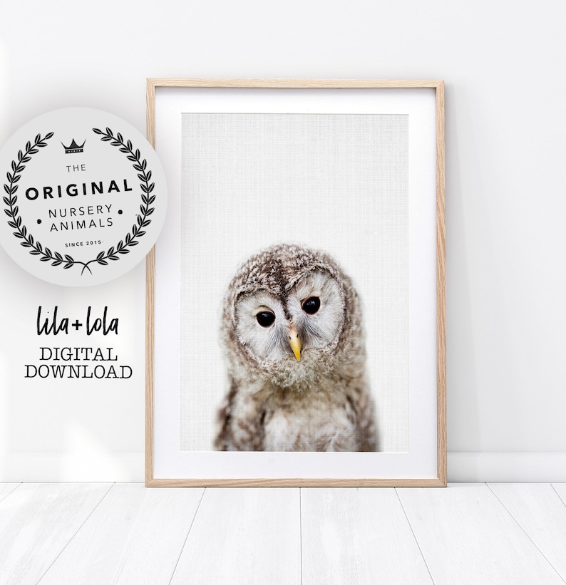 Owl Print Nursery Wall Art Decor Woodland Animals Baby Image 0