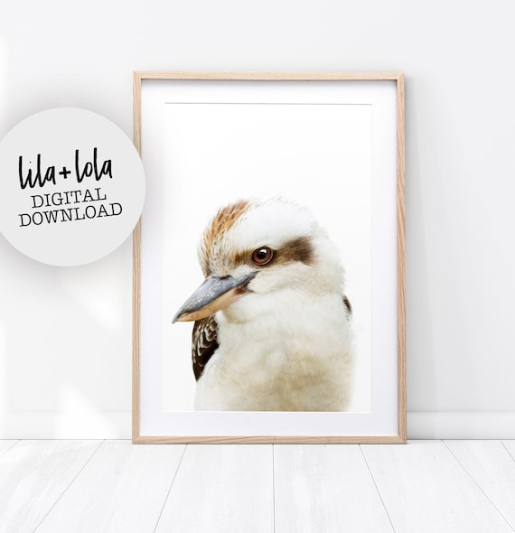 Kookaburra Print - Digital Download