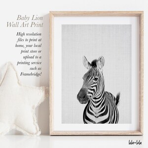 Zebra Print, Nursery Printable, Animal Wall Art, Printable Instant Download, Large Safari Decor Poster, Cute African Photo, Black and White image 2