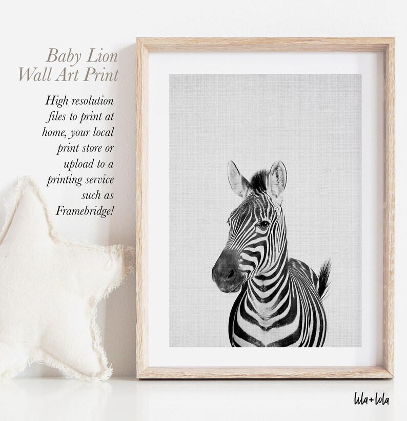 Zebra Print, Nursery Printable, Animal Wall Art, Printable Instant Download, Large Safari Decor Poster, Cute African Photo, Black and White image 2