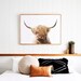 Highland Cow Print - Printable Wall Art ~ Colour Cow Photography Poster