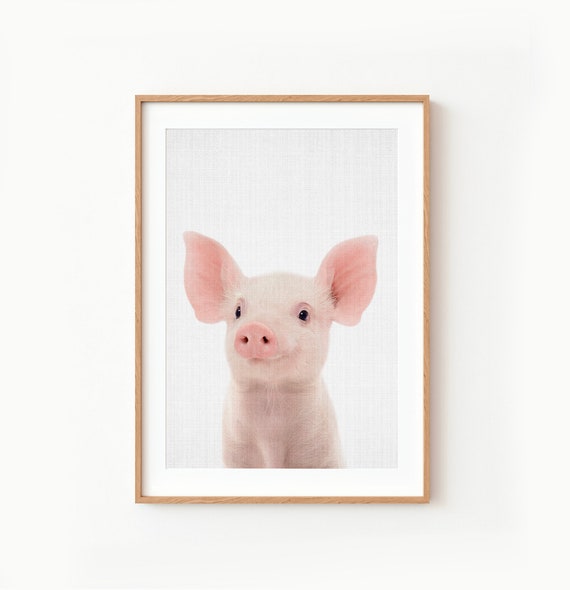 Baby Pig Wall Art Print ~ Nursery Piglet Decor ~ Printable Digital Download ~ Grey Background