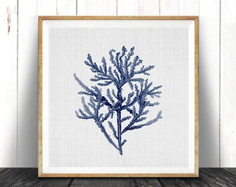 Square Beach Print, Coastal Decor, Navy Blue Seaweed Illustration, Nautical Coral, Printable Digital Download, Sea Pulp, Ocean Plant Life