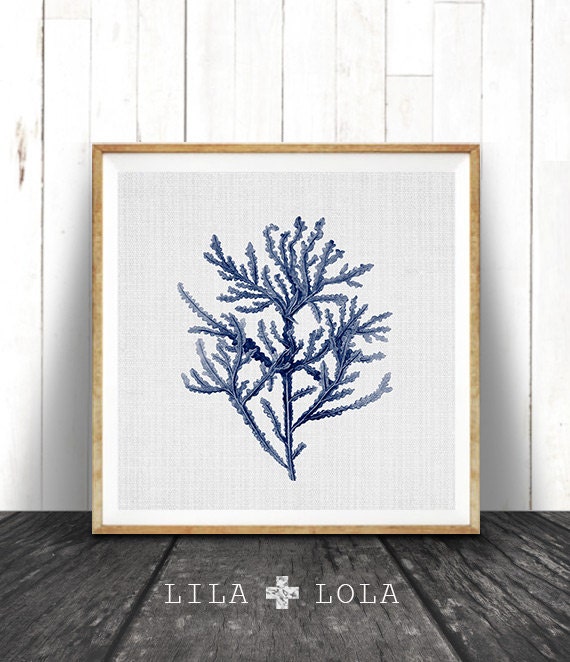 Square Beach Print, Coastal Decor, Navy Blue Seaweed Illustration, Nautical Coral, Printable Digital Download, Sea Pulp, Ocean Plant Life