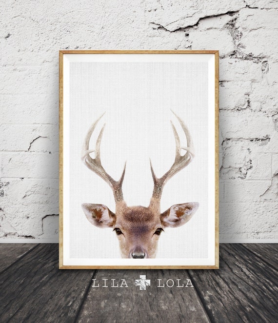 Deer Print, Deer Head and Antlers, Printable Wall Art Poster, Large, Digital Download, Woodlands Nursery Decor, Modern Minimalist