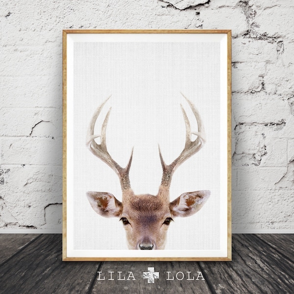 Deer Head Wall Art Etsy