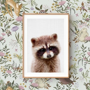 Baby Raccoon Wall Art Print ~ Woodland Animal Nursery Decor ~ Printable Digital Download ~ Grey background