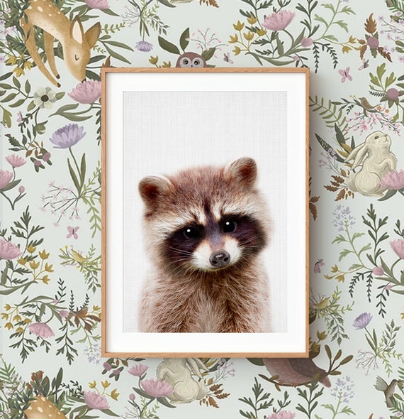Baby Raccoon Wall Art Print ~ Woodland Animal Nursery Decor ~ Printable Digital Download ~ Grey background