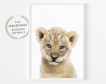 Baby Lion Cub Print ~ Safari Nursery Wall Art Decor ~ Printable Instant Digital Downloadable ~ Baby Animal Poster