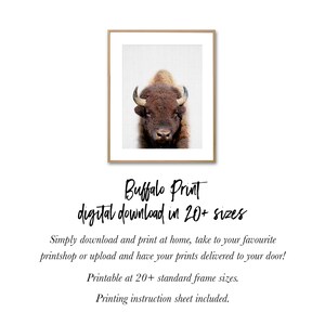Buffalo Print, Bison Photo, Printable Poster, Instant Digital Download, Boys Room Decor, Nursery Animal, Modern Minimalist, Photography image 5