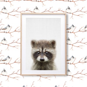 Raccoon Print, Baby Animal, Woodland Animals Wall Art, Nursery Decor, Baby Shower, Digital Download, Large Printable Poster, Forest Animals