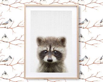 Baby Raccoon Print: Woodland Nursery Wall Art (Digital Download)