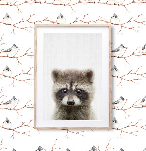 Raccoon Print - Digital Download