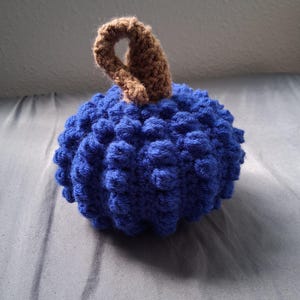 May include: A handmade, blue crochet pumpkin with a textured surface and a brown stem. The pumpkin is a vibrant shade of blue and appears to be made of soft yarn. The stem is a loop shape, adding a unique touch to the design.