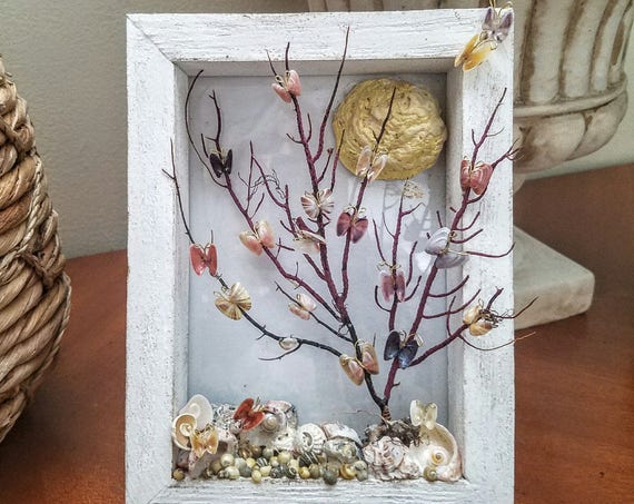 Magical Seashell Shadowbox