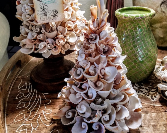 Mini "Tree of Hope" Seashell Topiary