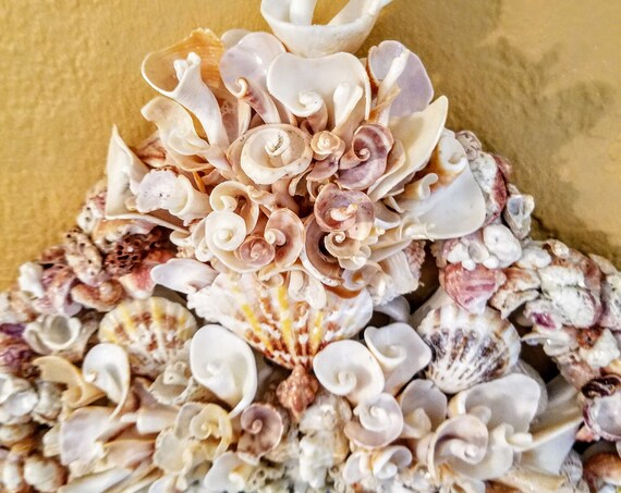 Large, Baroque, Estate Series Seashell Mirror