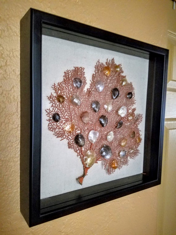 Sea Fan Shadowbox with Capiz Shells