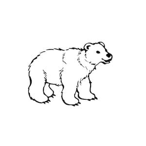 Baby Bear Outline