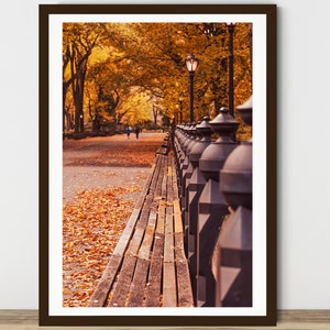 Peut inclure: Un banc en bois bord&eacute; de rampes en m&eacute;tal noir dans un parc. Le banc est entour&eacute; de feuilles d'automne tomb&eacute;es et d'arbres aux feuilles jaunes. Un lampadaire est visible en arri&egrave;re-plan.