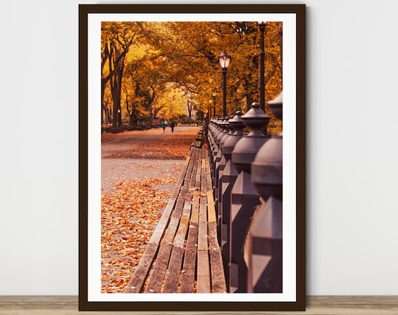 Autumn Print, Central Park Print, Fall Foliage Print, Autumn Photography, New York Print, Rustic Art, NYC Wall Art, Manhattan Print, 14