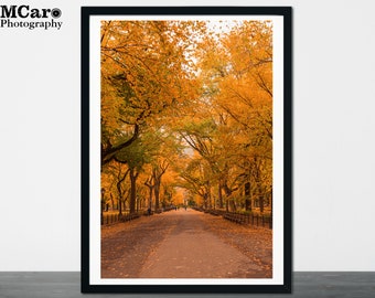 Photographie d'automne, impression d'art de New York, impression de Central Park, impression d'arbres d'automne, feuillage d'automne, décoration rustique, impression d'art mural maison, 52